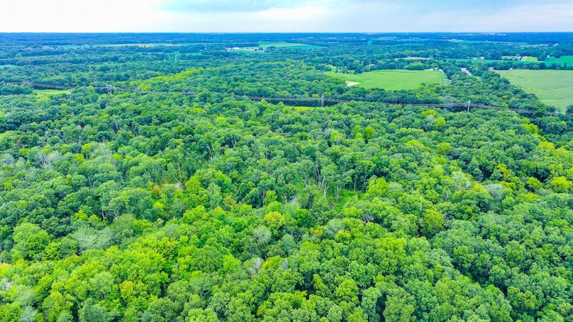 DJI_20240821110656_0012_D