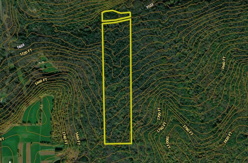 Screen Shot 2025-10-24 at 11.53.35 AM