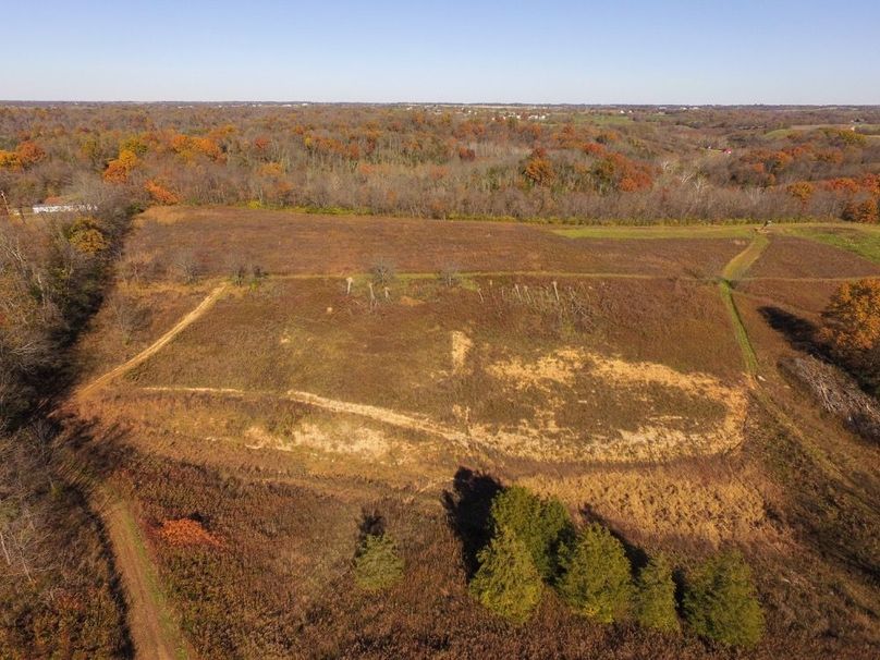 Fleming Petry 120-025