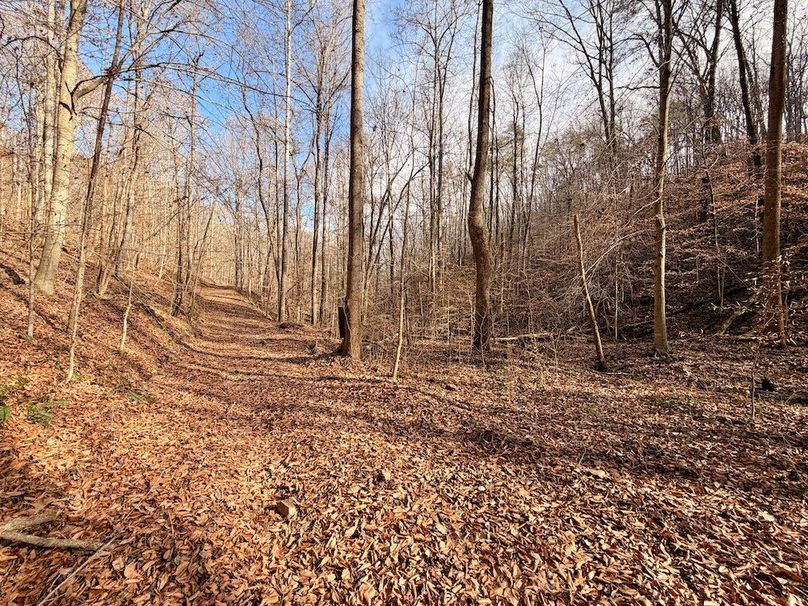 Roane Co TN 396 20251127_36