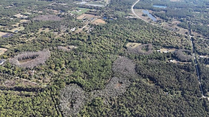 DJI_20260108102818_0118_D