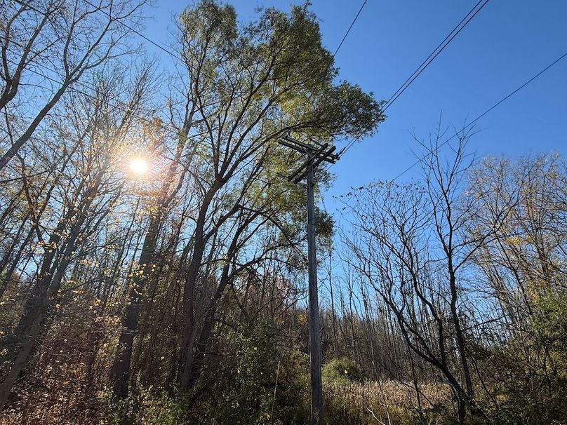 Wayne_18.11_Koehler Photo 16