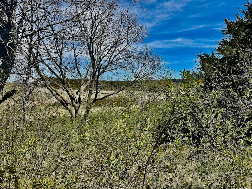 Trees(18)