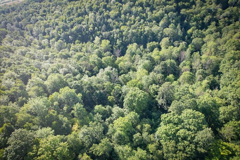 Tioga_82.5_Williams_Photos_34