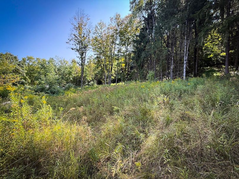 Tioga NY 86.705 Capwell Photos 7