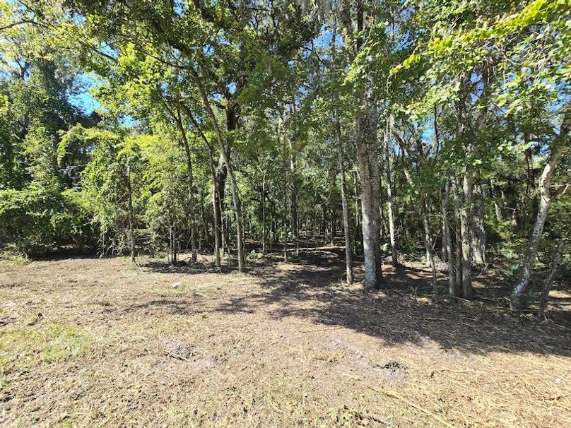 7.8ac, Citrus, Andrew Goering09