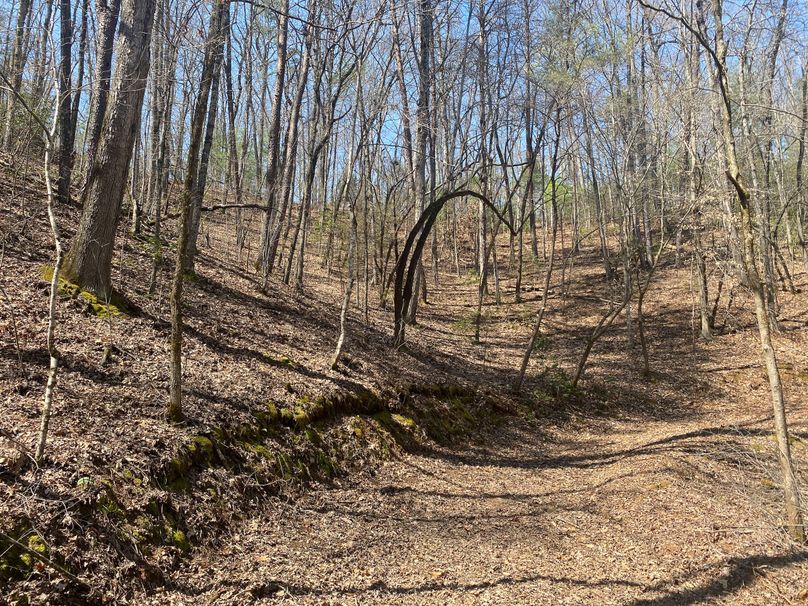 Cherokee 69.74 Stiles-13