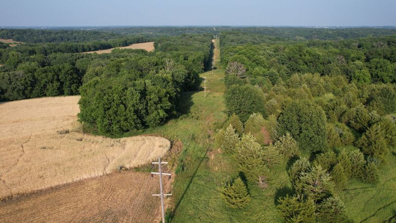 DJI_0081