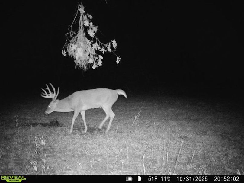 860322062550170-20-3-10312025205202-V-W1003928 (1)