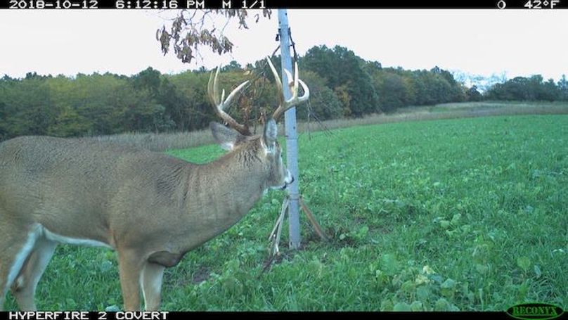 2018-10-12 18-12-16 M 1_1