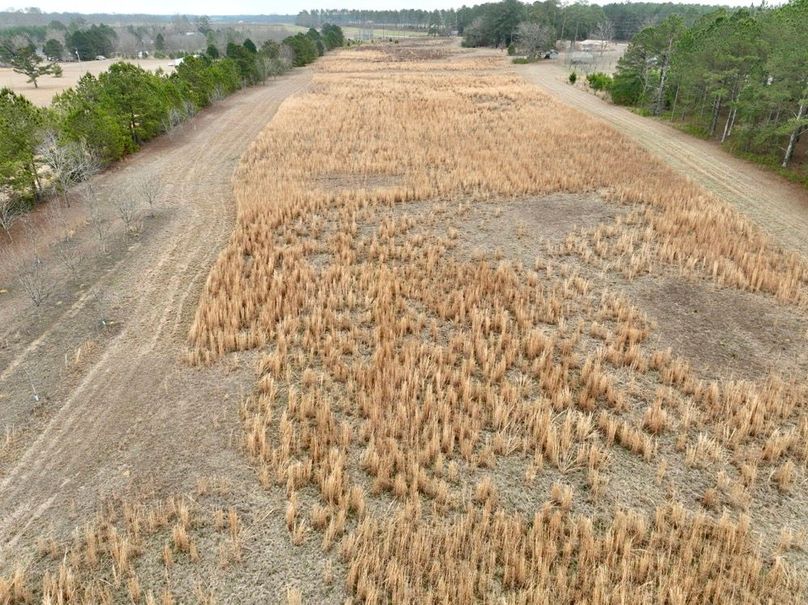 dji_fly_20260210_114140_262_1770741974398_photo