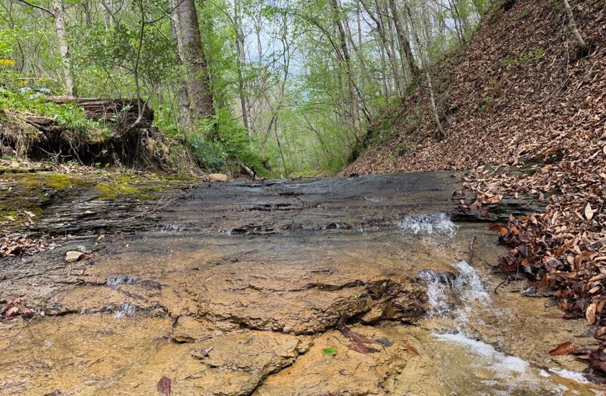 001 One of Many Natural Brooks on the Property