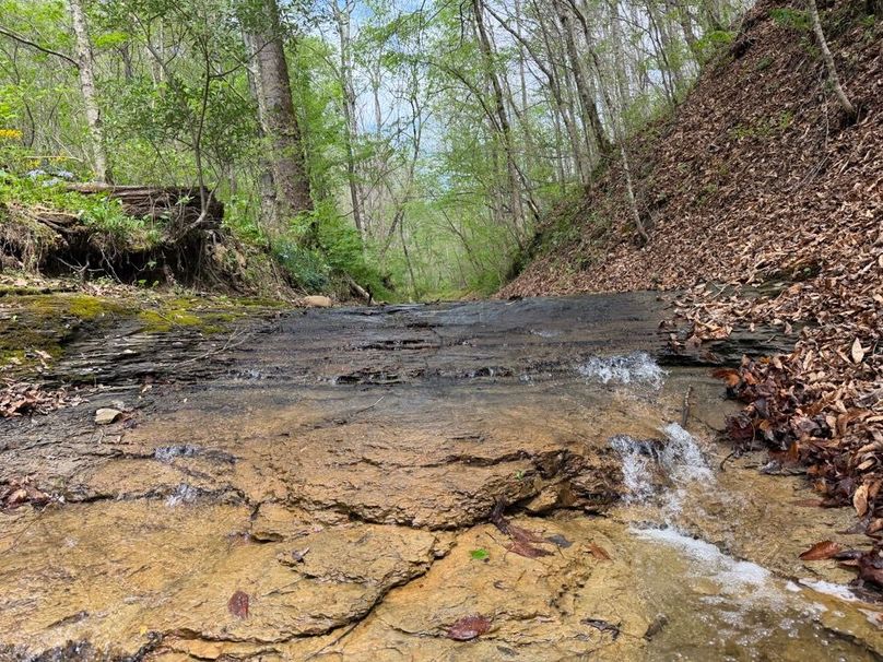 001 One of Many Natural Brooks on the Property