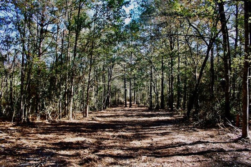 55B21084-9D13-4856-AFCD-3BA40D5726F7_1_105_c