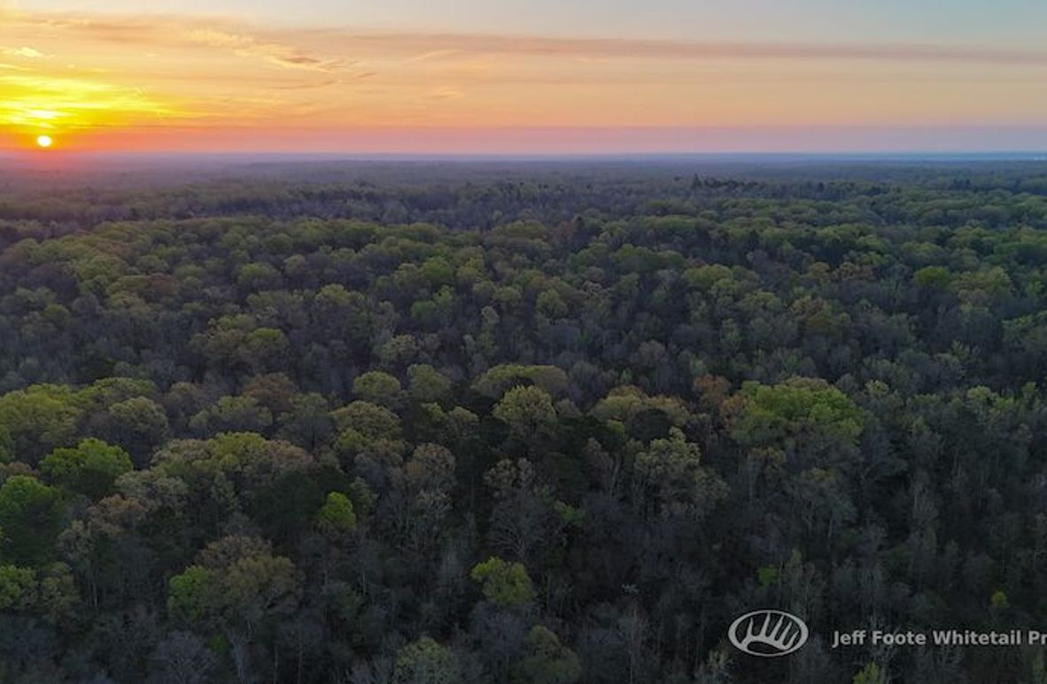 Warren Co - 45.5 - Bockman-3