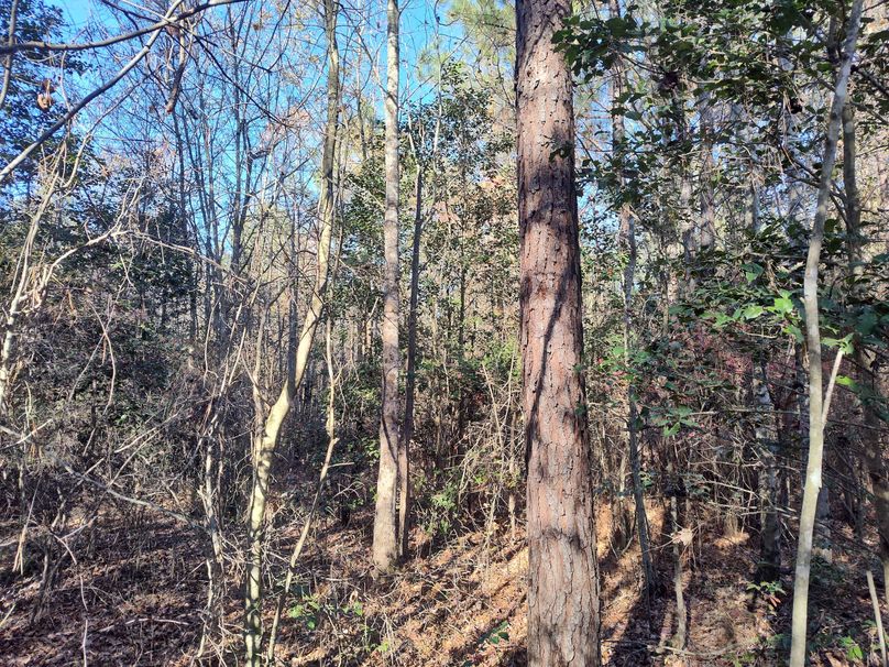 IMG_20231119_142555574_HDR