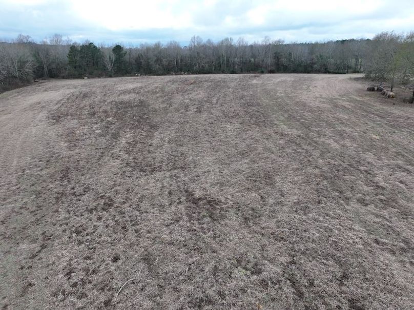 dji_fly_20260122_131144_0889_1769444802076_photo