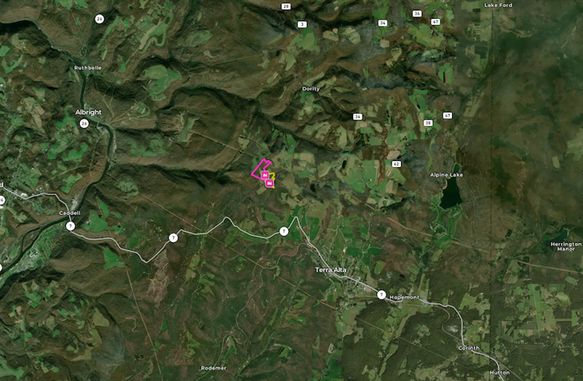 Screenshot 2024-11-26 at 8.28.27 AM