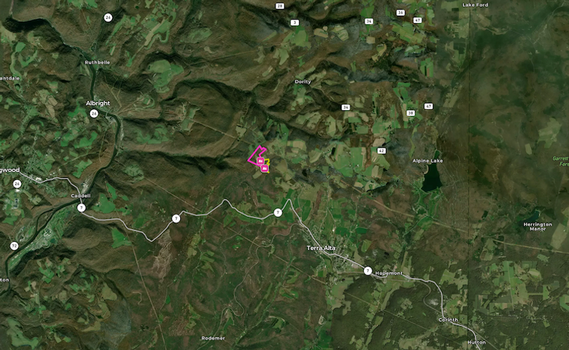 Screenshot 2024-11-26 at 8.28.27 AM