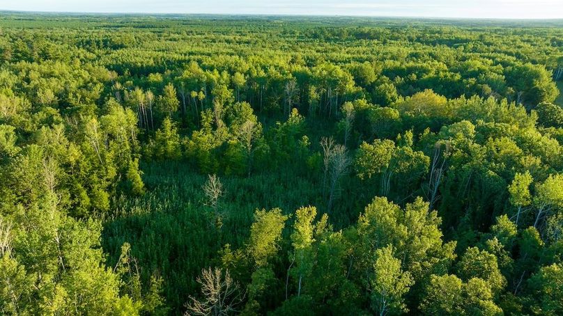 Cass MN 1095 Featured ProPhoto-76