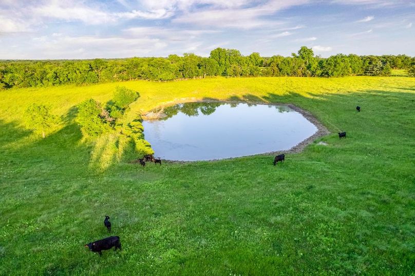 Fannin County- 134.4 acres-37