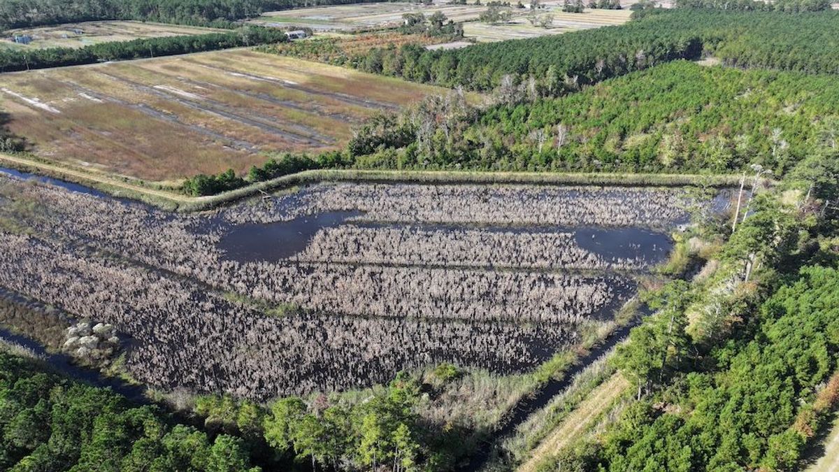 Exceptional Turnkey Duck Impoundment | Whitetail Properties