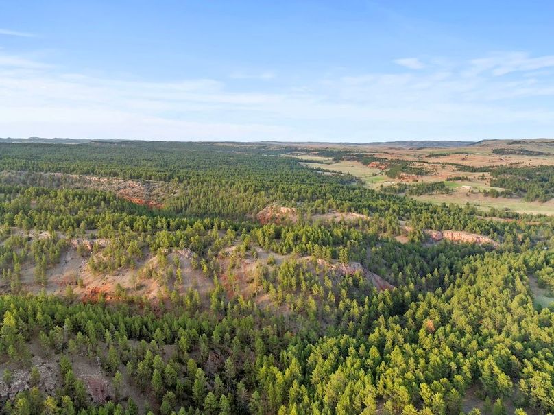 17-DJI_20250507184925_0763_D