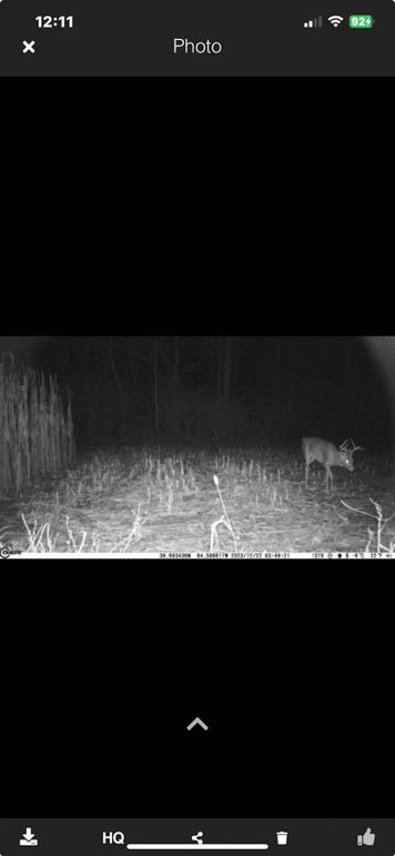 Screenshot_2023-12-23_at_12.11.54â¯PM