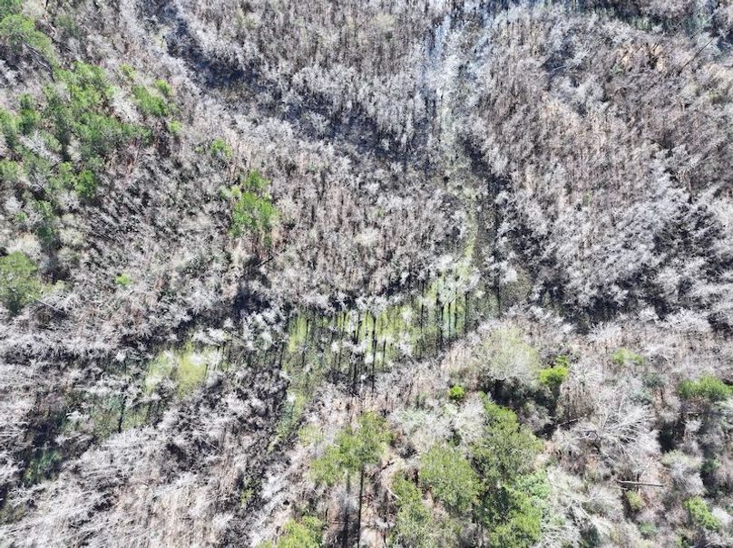 dji_fly_20260112_110256_0813_1768323791392_photo