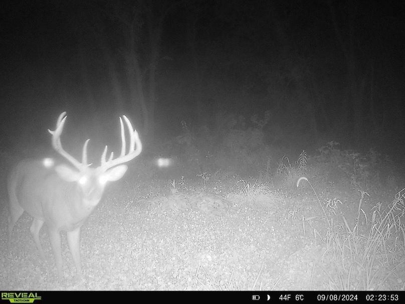 864049058900749-20-3-09082024054456-HD-SYFW5822