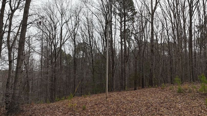 dji_fly_20260225_113834_0129_1772037650174_photo