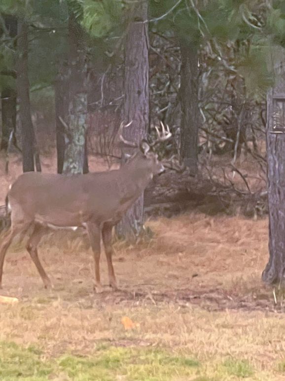 Juneau 27 Wiesner -116