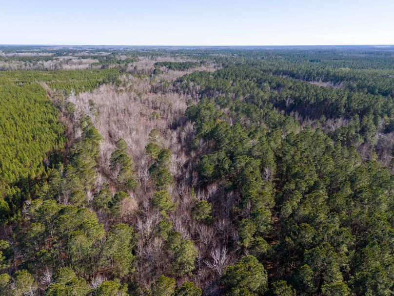 Pender NC 382 - Edits-44