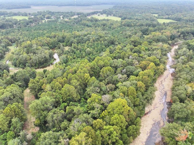 dji_fly_20250924_092750_0526_1758726287805_photo