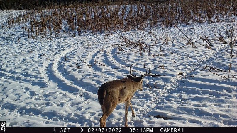 Sauk 174 Trailcam - 45