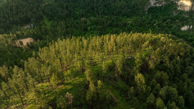 Lawrence SD 50 Featured_ProPhoto-55