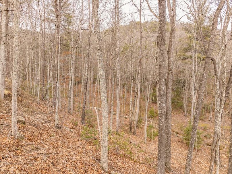 DJI_20260304160309_0028_D