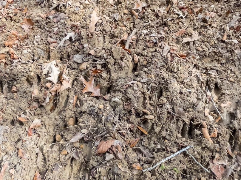 Yazoo Co - 75 - Batton-28