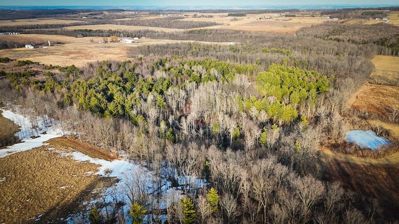 Seneca_43_Hohwald_Photos_16