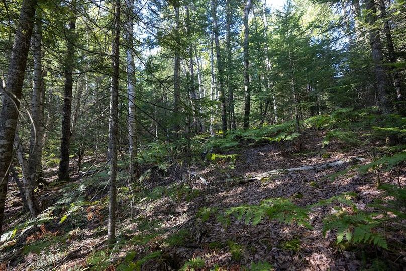 Mackinac 320 Copenhaver-59