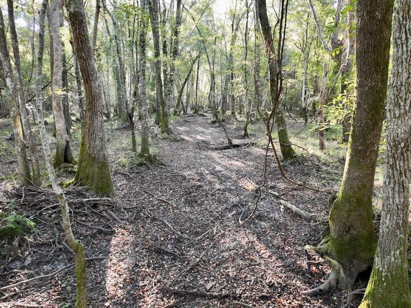 dji_fly_20251013_093754_261_1760364568099_photo