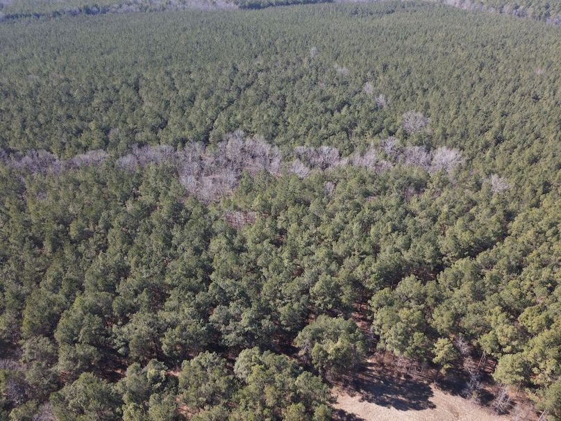 DJI_0248