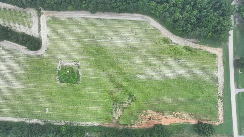 DJI_20250715003014_0165_D