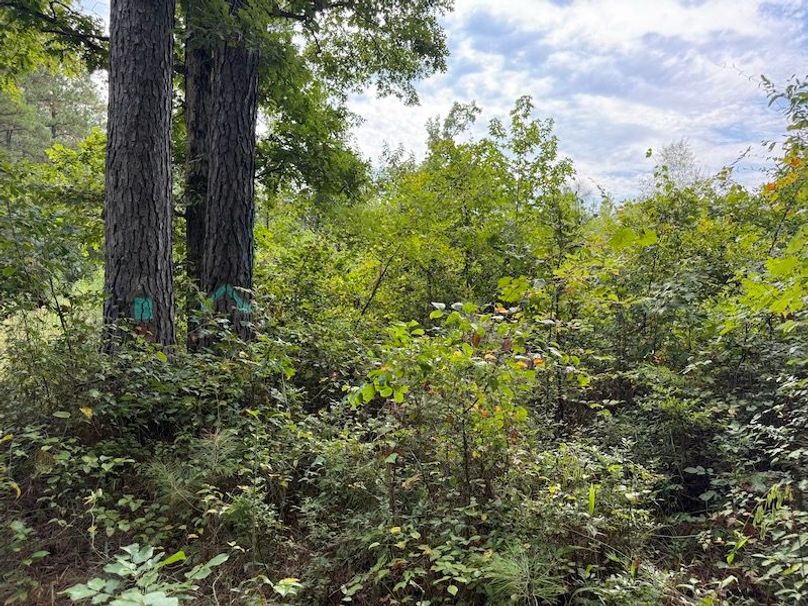 Photo Aug 14 2025, 9 28 49 AM