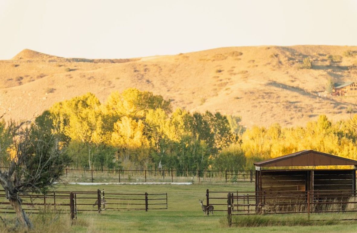 ©7XLandCrewLLC-4397