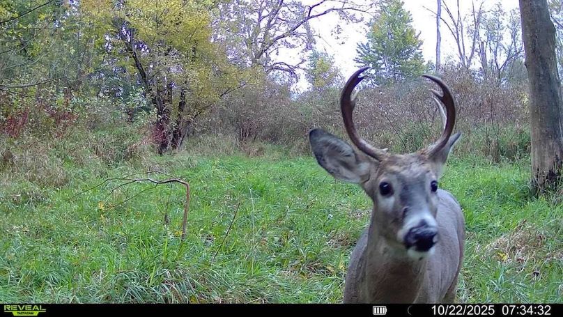 016579008159910-100-3-10222025073432-SYFW00213