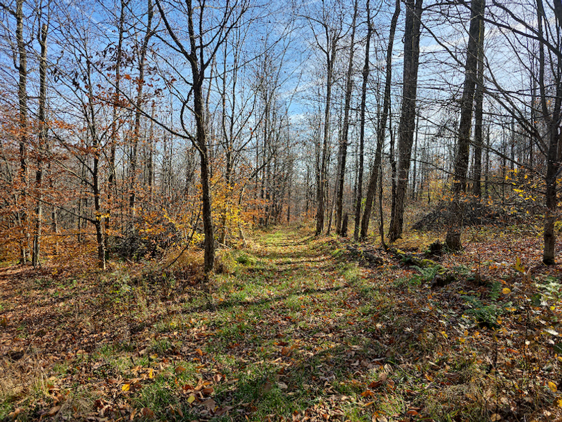 photo_b31066dc-497f-4d26-b2ea-493147e4926e