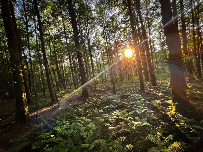 Oswego_30_RouselandInvestments_LLC_Photos_14