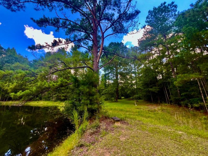 969F9131-6FDE-4902-9718-2423F9AF940A_1_201_a