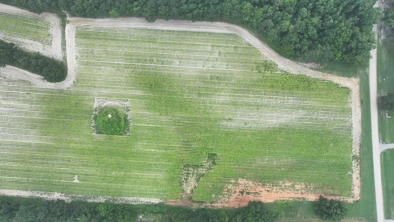 DJI_20250715003014_0165_D